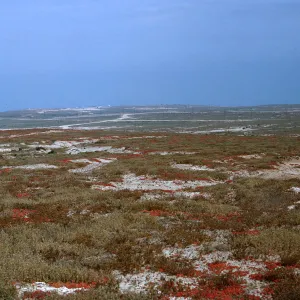 23/ looking Southeast from Benchmark Δ 818, 65-210 & SN-127