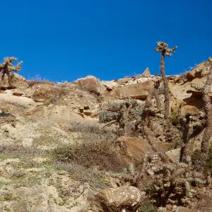 San Nicolas Island, 65-266 & SN-183