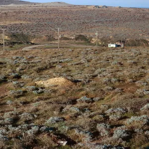 San Nicolas Island, 65-322 & SN-239