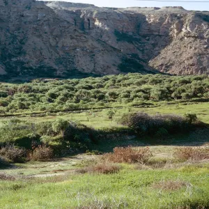 San Nicolas Island, 65-335 & SN-252