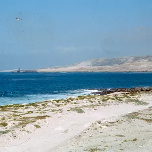 carrier from Northern tip of the island, 66-23 & SN-279