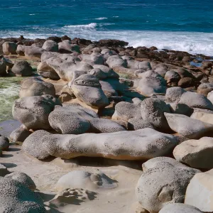 pedestals on carrier reef, 66-34 & SN-290