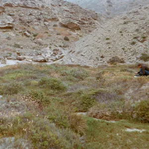 small valley at back of beach area - Dan Smith