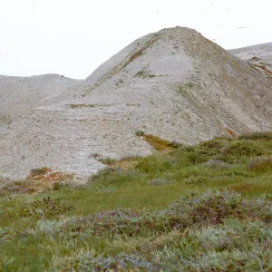 small hill at back of old beach area, 66-64 & SN-320