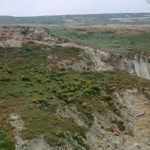 top of the mouth of Mineral Creek Canyon, 66-88 & SN-344