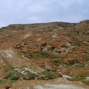 lower slopes of site of fuel tests, from road, 66-109 & SN-365