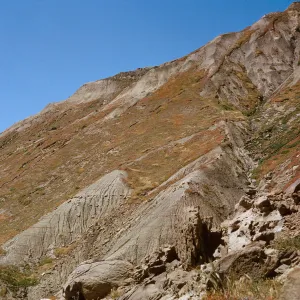 S-facing slope of Sand Dune Canyon, Mesembryanthemum, 66-151 & SN-407