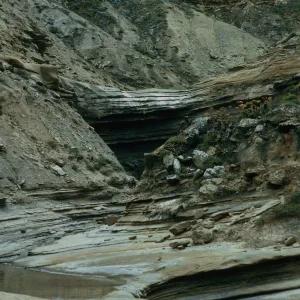 Celery Canyon, San Nicolas Island