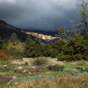 meadow, Santa Barbara Botanic Garden