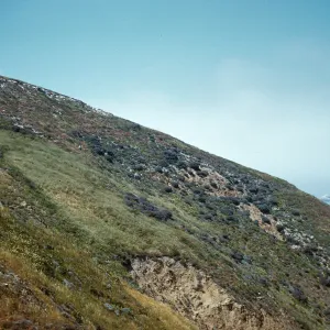 Side of Canyon del Mar, San Miguel Island