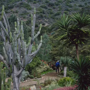 Wrigley Memorial Garden, Avalon Canyon, Santa Catalina Island