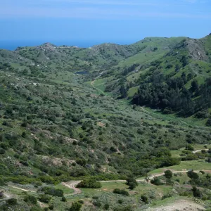 Cape Canyon, Santa Catalina Island