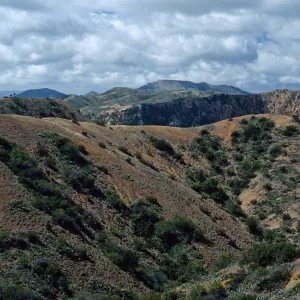 Orizaba Pak (in center) from road to Lone Tree, Santa Catalina Island