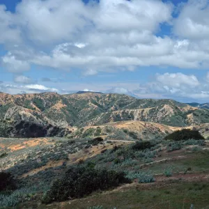 Orizaba (center) & Black Jack Peak (right) from Divide Road, Santa Catalina Road