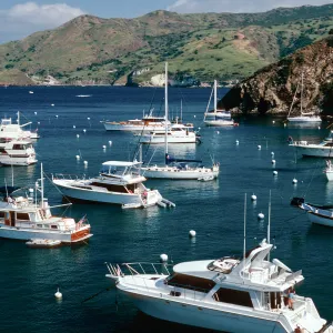 Cherry Cove, Santa Catalina Island