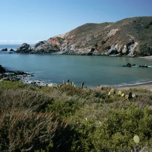 Little Harbor, Coastal Sage Scrub in foreground, Santa Catalina Island