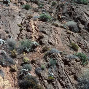 canyon wall, Gran Cañon, Cedros Island