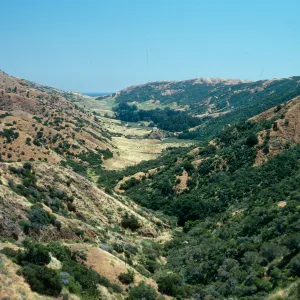 Santa Cruz Island Central Valley
