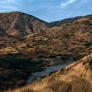 hills above Coches Prietos, Santa Cruz Island
