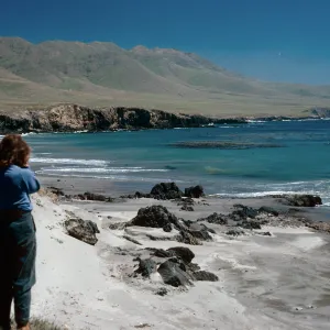 Forneys Cove, Santa Cruz Island