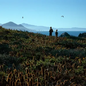 view of Punta Bonda from South side of peak, South Todos Santos Island