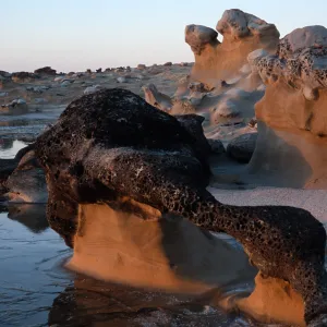 Rock crusher area, San Nicolas Island