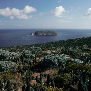 Prince Island view, San Miguel Island