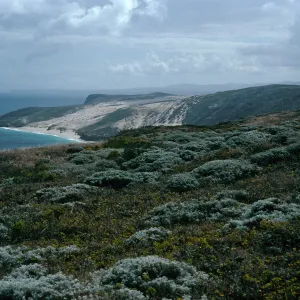 view of Cuyler Harbor, from Harris Point Peninsula, San Miguel Island