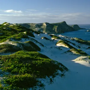 dunes, above Cuyler Harbor (late in day), San Miguel Island
