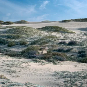 Southwest part of island, San Nicolas Island