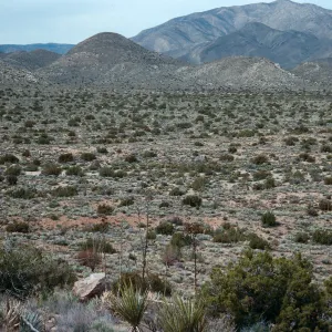 trail to Ghost Mountain, Blair Valley, Anza-Borrego State Park, San Diego County