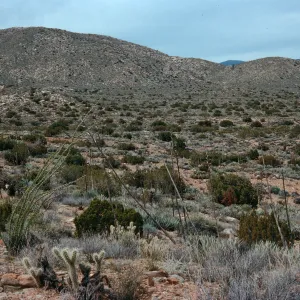 trail to Ghost Mountain, Blair Valley, Anza-Borrego State Park, San Diego County