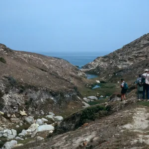 lower Cañon Lobos, Santa Rosa Island