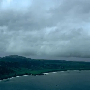 Torrey Pines, Santa Rosa Island