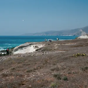 just West of East Point, Southeast side, Santa Rosa Island
