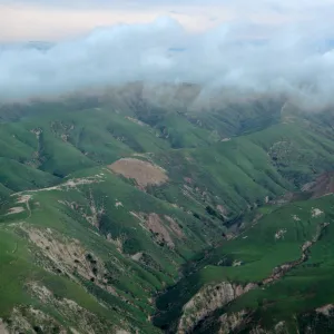 South side, Santa Rosa Island