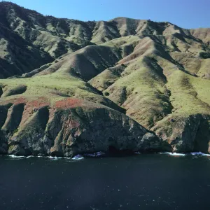 North side, Santa Cruz Island