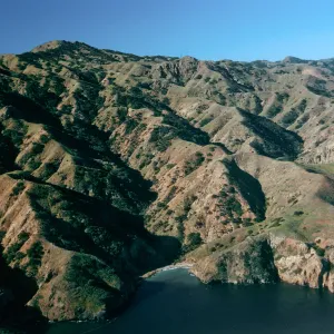 North side, Santa Cruz Island