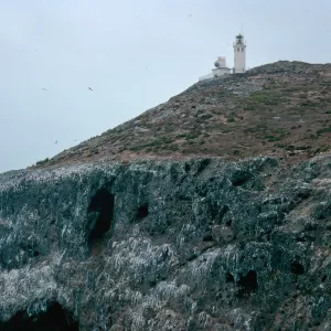 East Anacapa Island