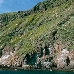 offshore bluffs, West Anacapa Island