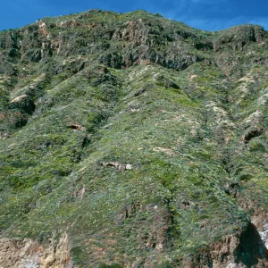 offshore bluffs, West Anacapa Island