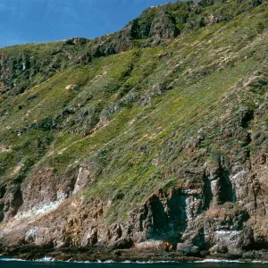 offshore bluffs, West Anacapa Island