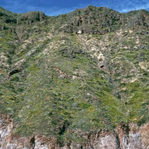 offshore bluffs, West Anacapa Island