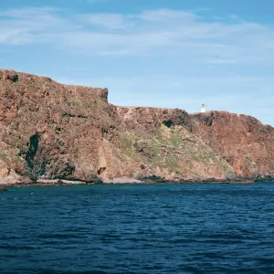 offshore side, East Anacapa Island