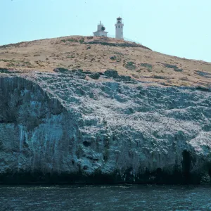 lighthouse, East Island, East Anacapa Island