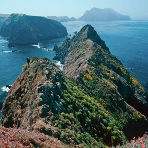 Inspiration Point, looking West, East Anacapa Island