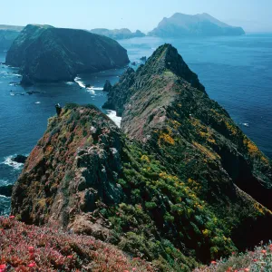 Inspiration Point, looking West, East Anacapa Island