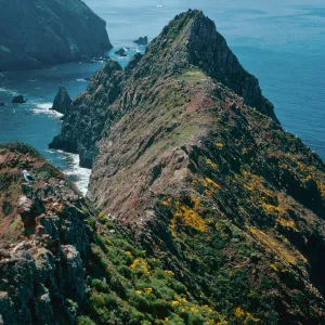 Inspiration Point, looking West, East Anacapa Island