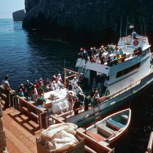 Vanguard, Landing Cove, East Anacapa Island