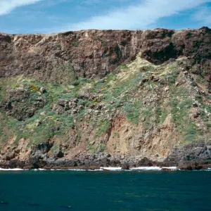 offshore bluffs, East Anacapa Island